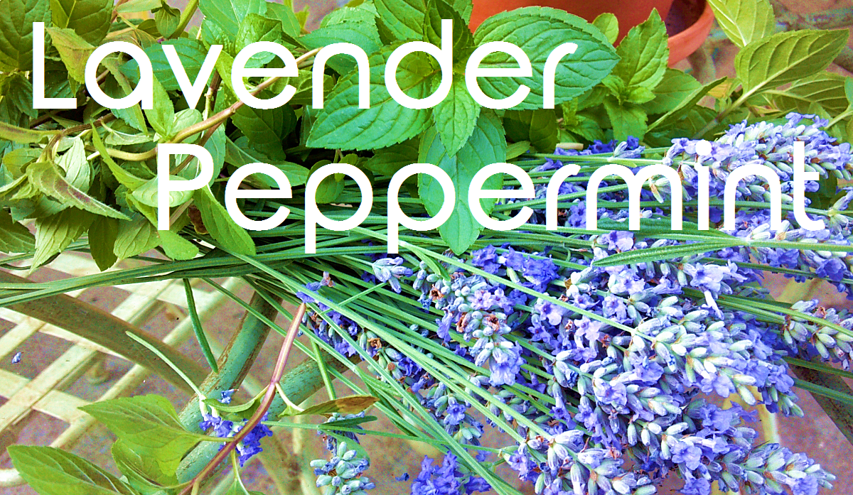 Sunset Nursery, Pembroke, Ontario, Greenhouse, Gardening, plants